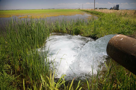 Where Is California Leadership on Ag Water Conservation?
