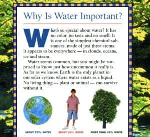 artwork: Why is water important?