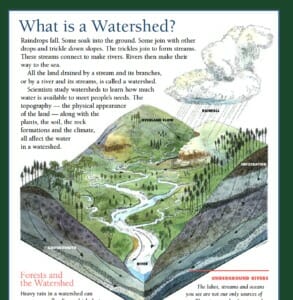 infographic: What is a watershed?