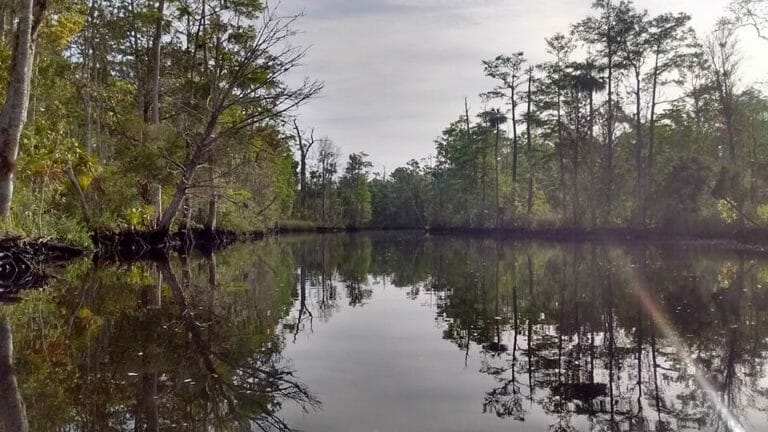 Exploring Florida — Kayaking the Waccasassa and Wekiva Rivers