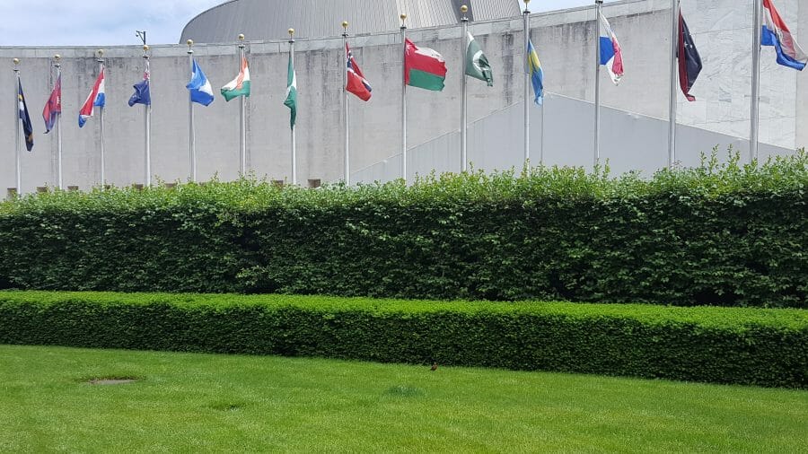 The Role of Science in Global Policy