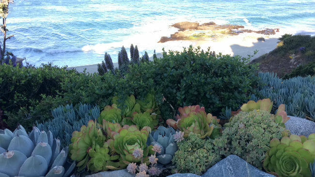 photo: 7 Simple Tips to Make Your Yard an Ocean Friendly Garden