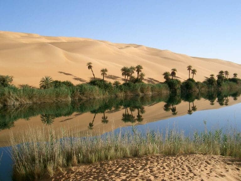 Why the world needs to get smarter about water consumption
