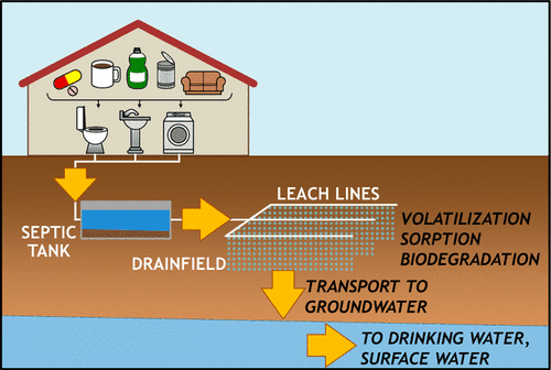 infographic: Septic systems are a major source of emerging contaminants (CECs) in drinking water