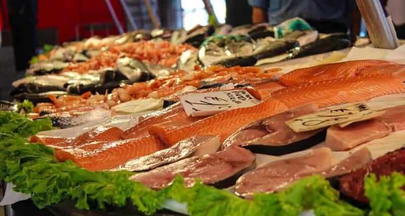 photo: Seattle-caught salmon found to contain cocaine, antidepressants and pain relievers