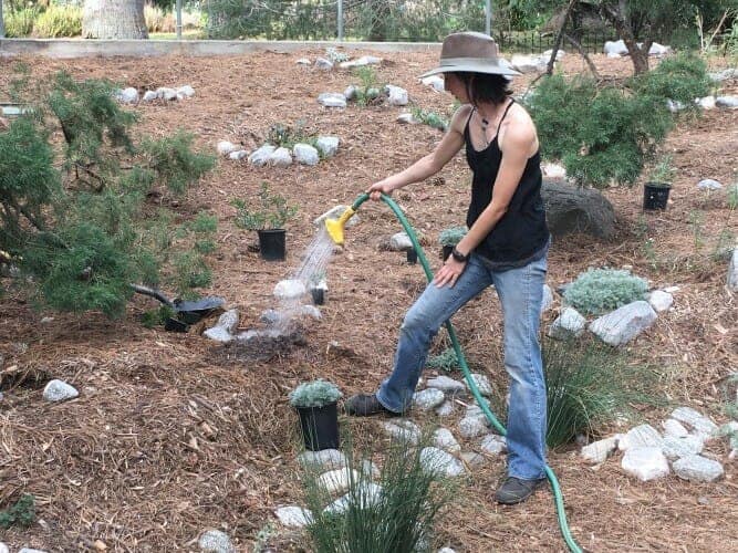 photo: Watering Your Garden in the Summer: Q&A with Maureen, Professional Gardener