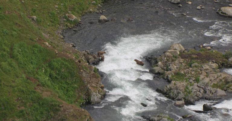 Proposed Alaska mine could threaten salmon population