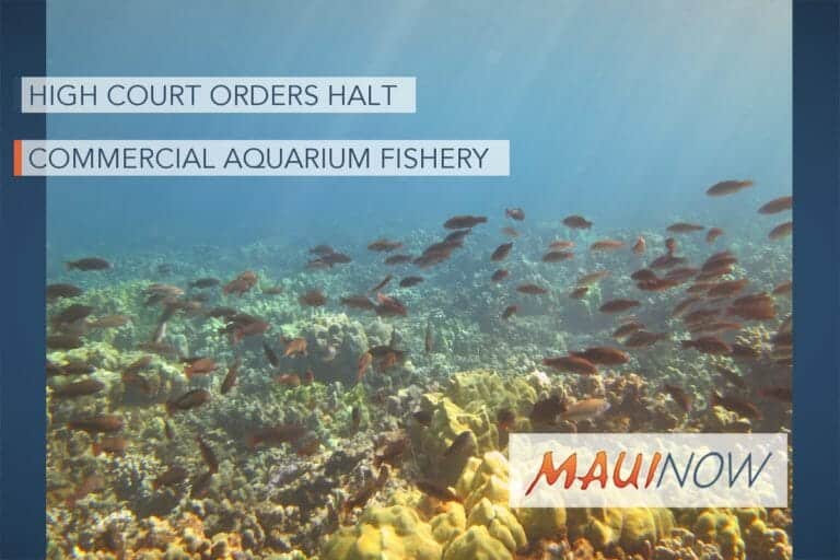 Hawai‘i Supreme Court Orders Halt of Commercial Aquarium Fishery