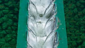 Exploring the use of wastewater in agriculture