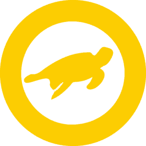 Areas of action