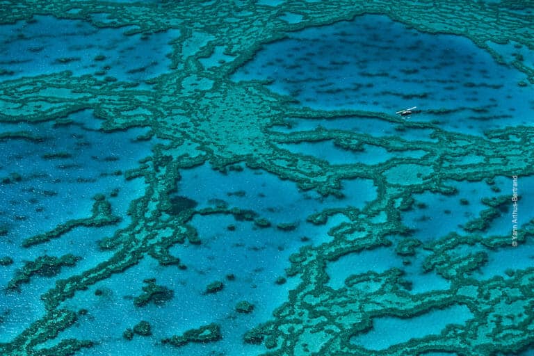 Oceans — Areas of Action