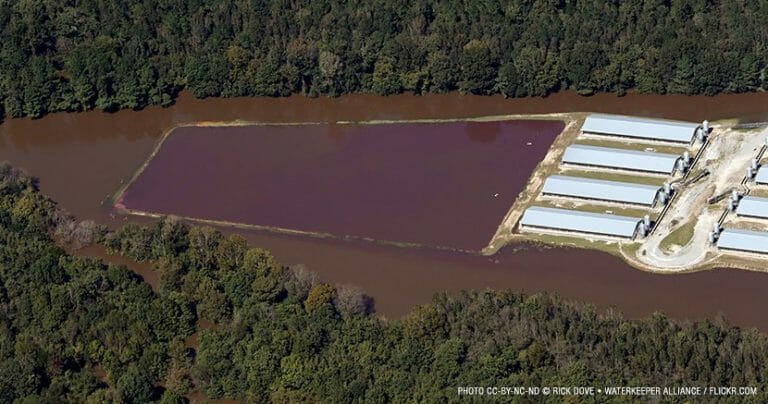 Factory Farms and Superstorms Don’t Mix