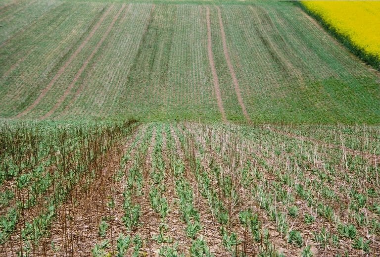 USDA: study finds no-till farming alone not sufficient to prevent water pollution from nitrate