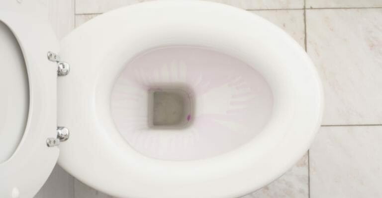 Study: 170-billion-gallon water savings per year via water-efficient toilets