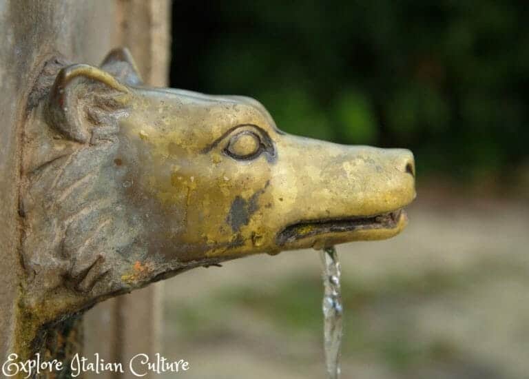 The Public Drinking Fountains of Rome
