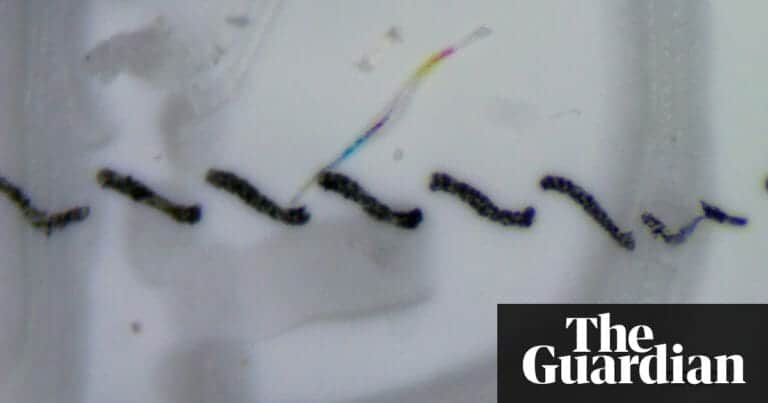 Microplastics found in more than 90% of bottled water, study says