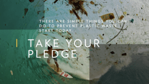 photo: NatGeo's Planet or Plastic? campaign - take the pledge