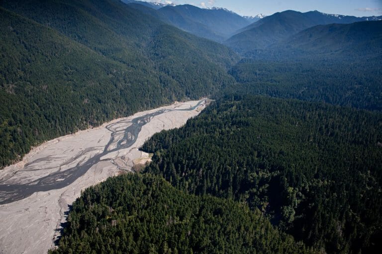 River Revives After Largest Dam Removal in USA History