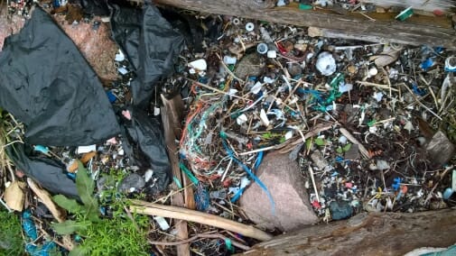 Plastic degrading in the oceans release chemicals into the water