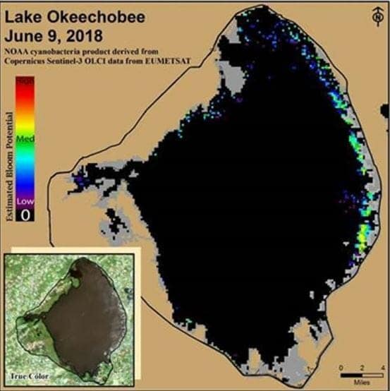 NOAA: 40% of Lake Okeechobee covered in harmful algae