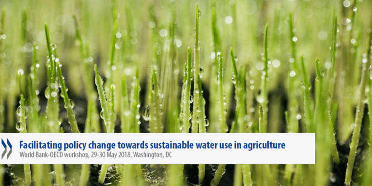 Strengthening policy innovation for water use in agriculture