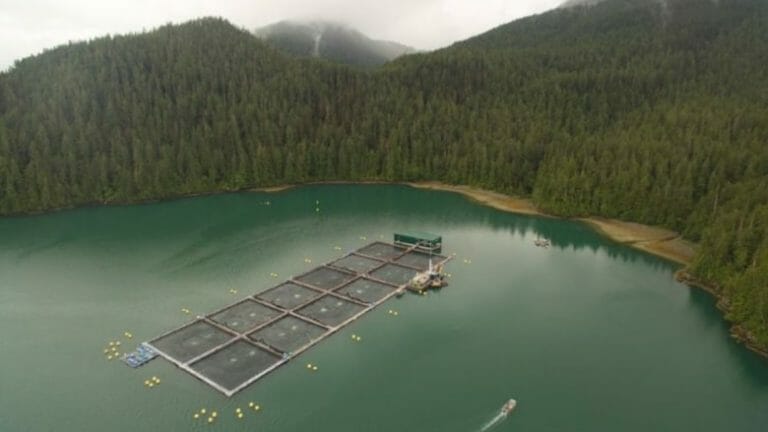 Fish farms: ‘…still using the ocean as a toilet’