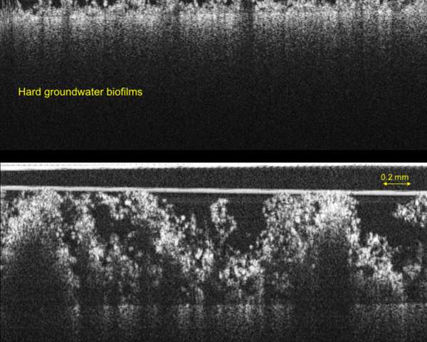 Chemicals that keep drinking water flowing may also cause fouling
