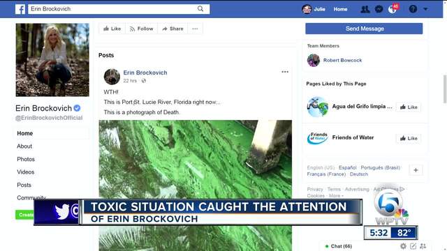 Environmental activist Erin Brockovich on water releases from Lake Okeechobee