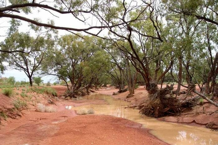 How planting trees and grasses can help stabilise farmland in a changing climate