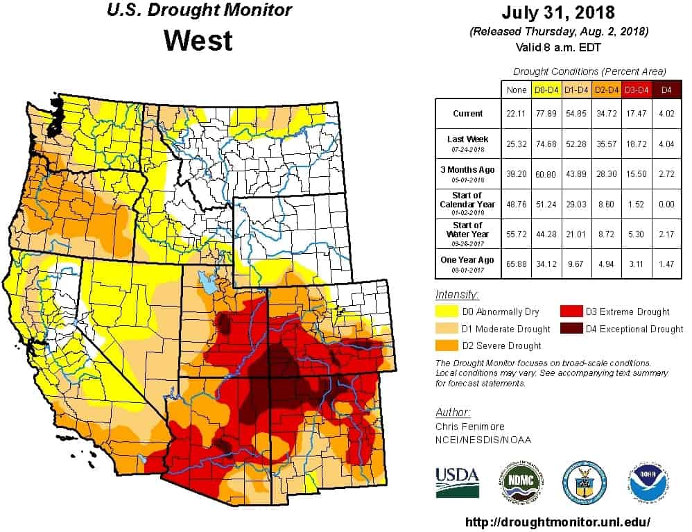 Drought Forces Hard Choices for Farmers and Ranchers in the Southwest