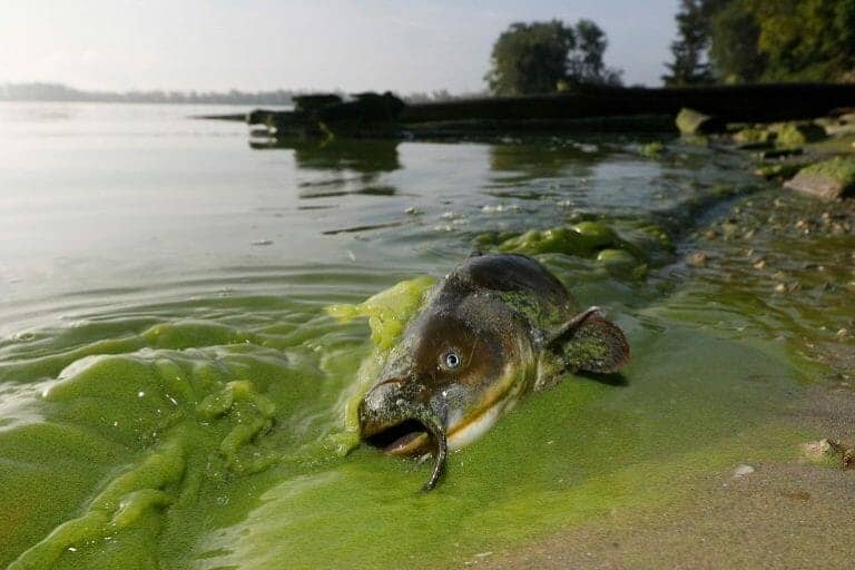 On Water Problems, Governments Actually Work Together