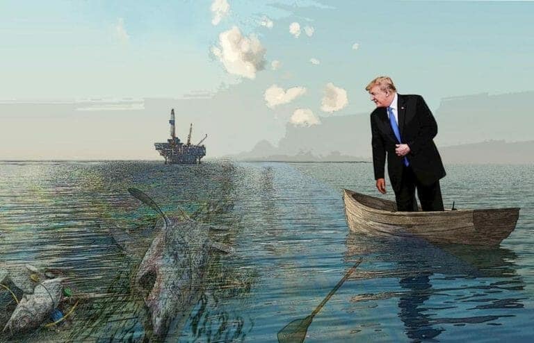 The cataclysmic cost of Trump’s ‘war on oceans’