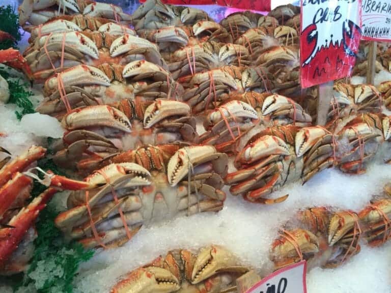 Study: Edible Crabs Won’t Cope With Effects of Climate Change on Seawater