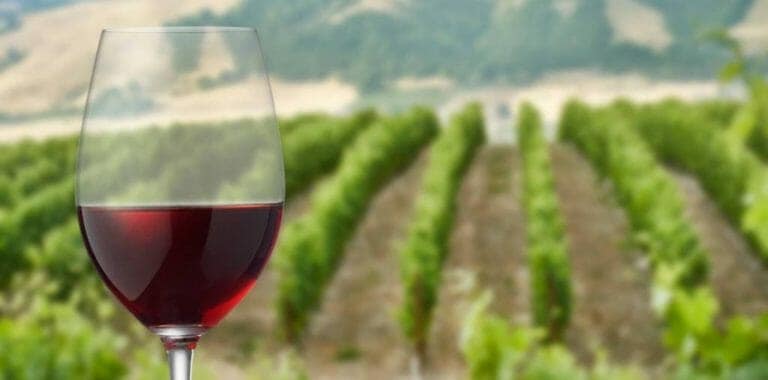 Harvard Reportedly Buying Up California’s Vineyards—and Their Water Rights
