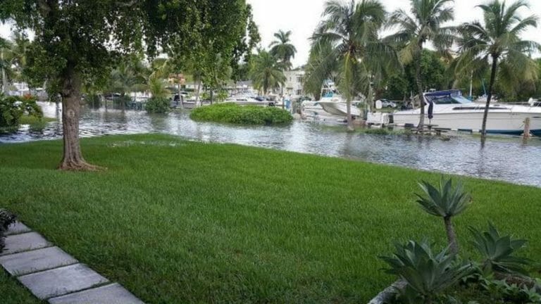 $3 billion problem: Miami-Dade’s septic tanks are already failing due to sea rise