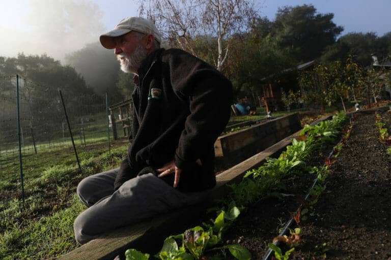 California’s ‘dry farmers’ grow crops without irrigation