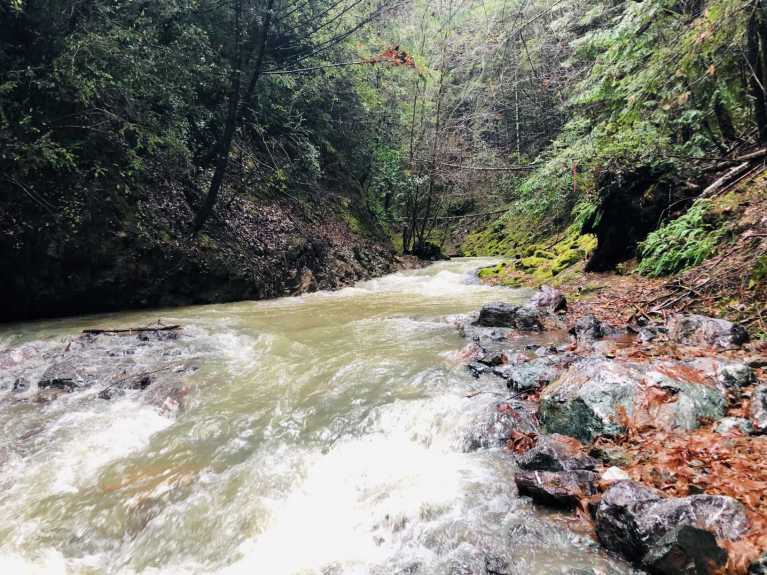 Restoration project improves salmon habitat in Mendocino County creek