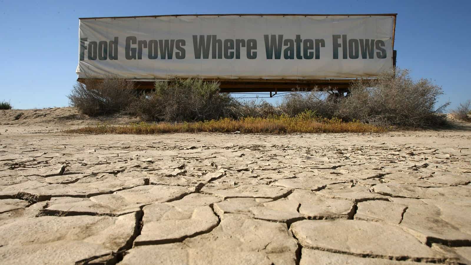 It’s time for California to let some of its thirsty farmland go
