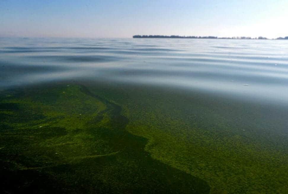 The battle for the rights of nature heats up in the Great Lakes