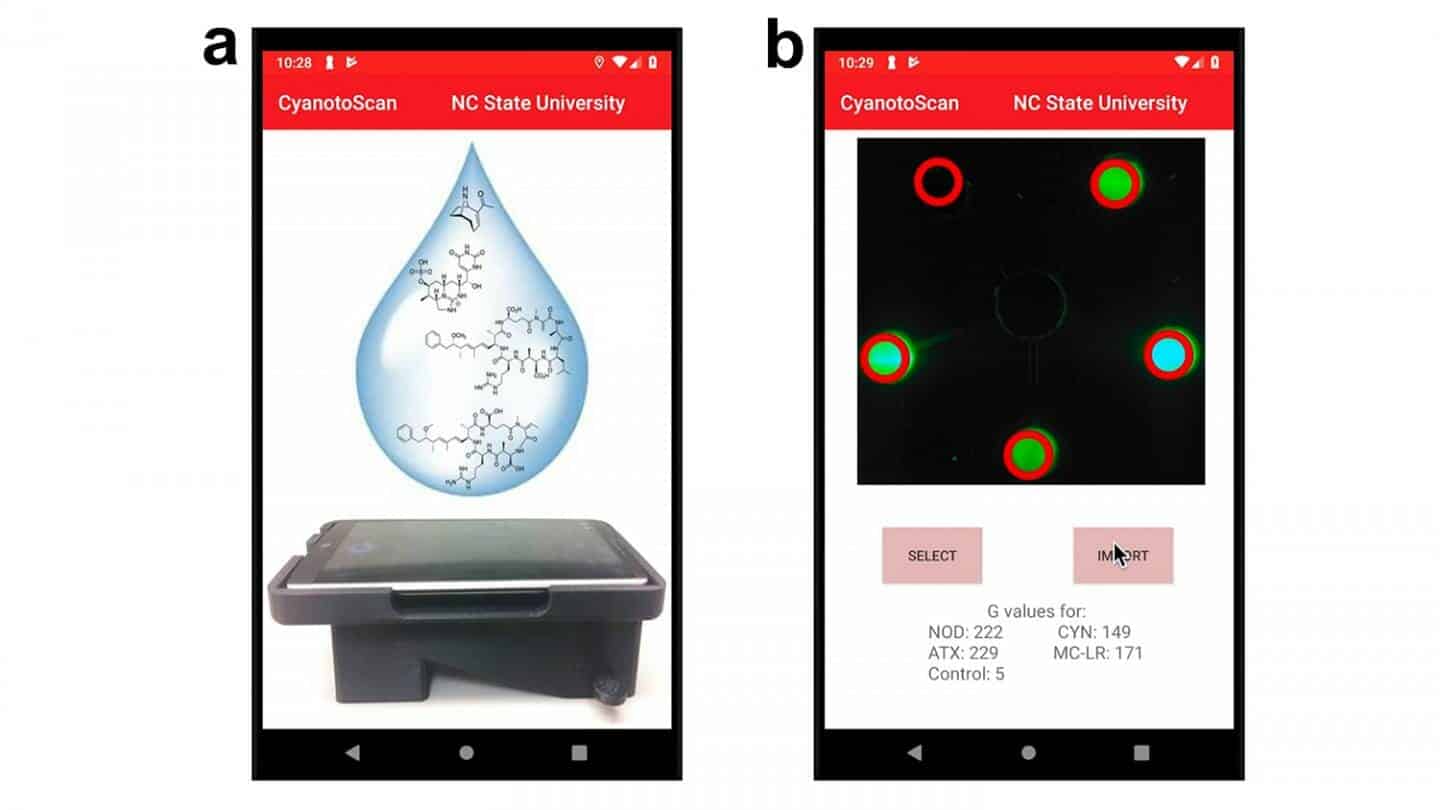 Researchers create first portable tech for detecting cyanotoxins in water