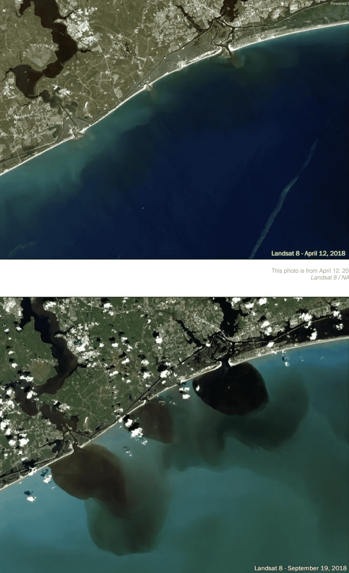photo: before and after - drainage into the ocean near post-flood CAFO