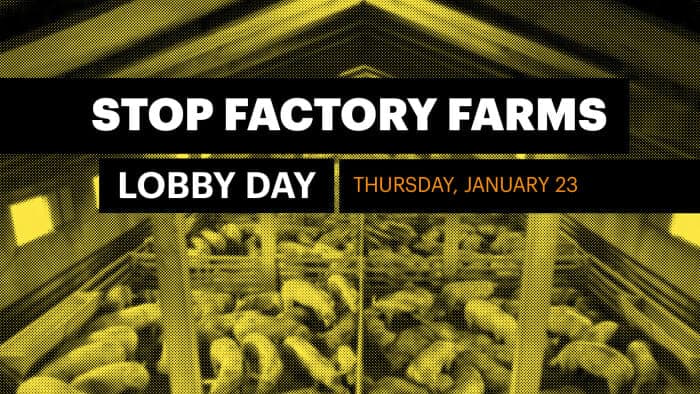 photo: promotion for 'Stop Factory Farms' event