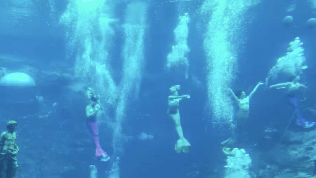 photo: Weeki Wachee mermaids, Florida roadside attraction