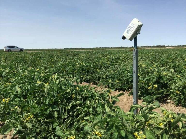 CSIRO and Goanna Ag develop technology to predict crop water needs