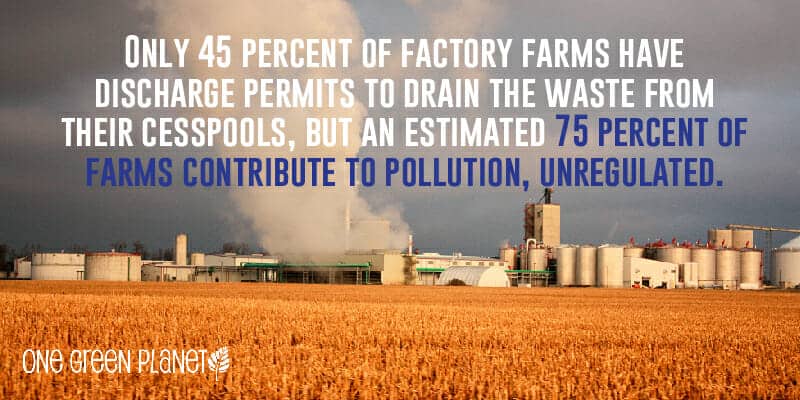 Graphic: 10 Shocking Facts On Factory Farms and Water Pollution Will Make You Rethink That Burger