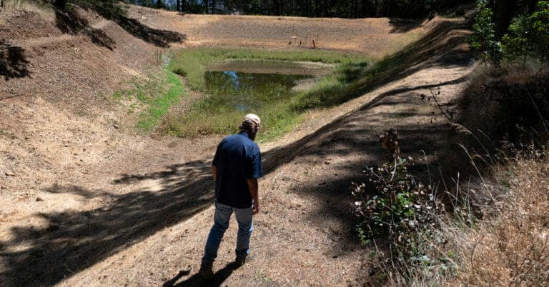 Scorched, Parched and Now Uninsurable: Climate Change Hits Wine Country