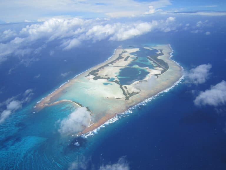 Biden To Create New Marine Sanctuary In Pacific
