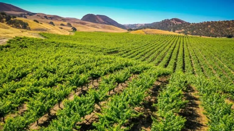California Blueprint for Ag Growth, Rooted in Sustainable Groundwater Management Act