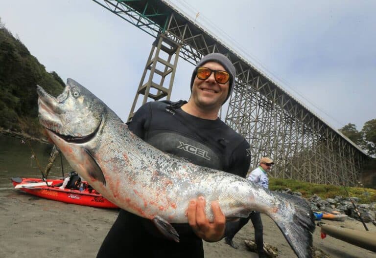 Regulators signal no California salmon season this year amid dismal return of adult fish