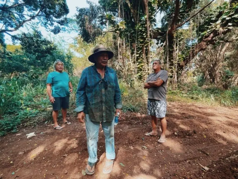 Shift To Green Energy Future is Renewing Plantation-Era Water Wars on Kauai